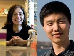 Danica Fujimori (left) and Bo Huang (right), Searle Scholars