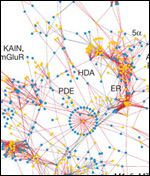 drug target network diagram.