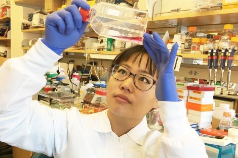 Ryu in the lab