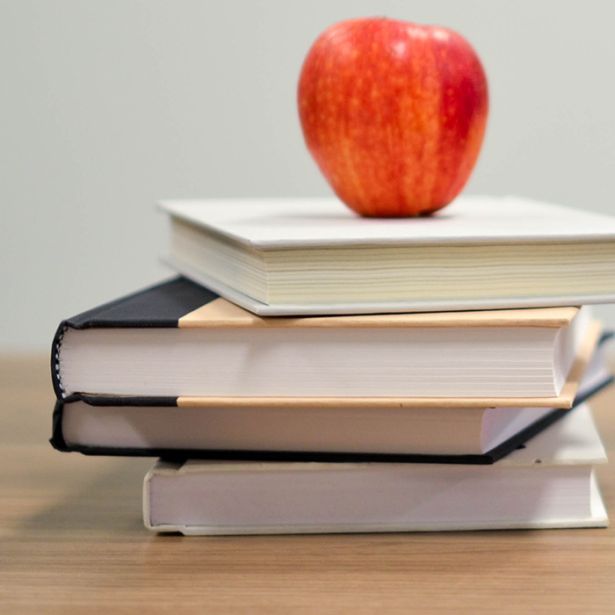 an apple on top of books