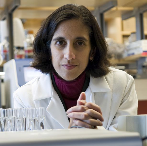 Desai in the lab.