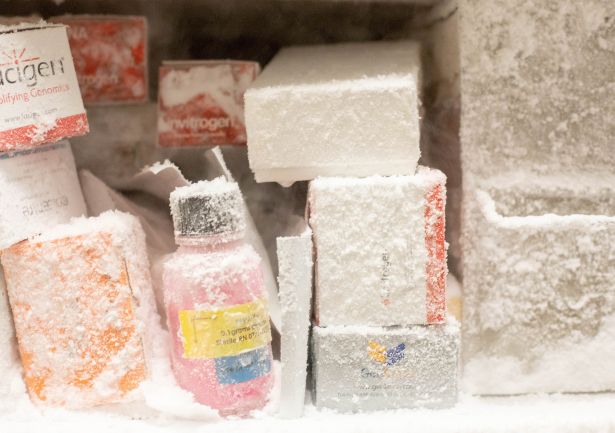Laboratory bottles and boxes covered in frost in a freezer