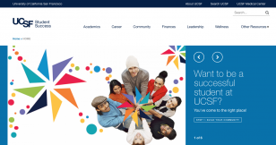 screenshot of the Student Success website