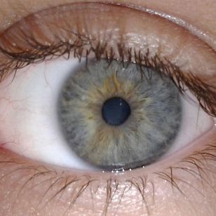 closeup of human eye