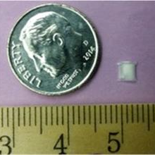 implant shown next to a dime; much smaller than a dime
