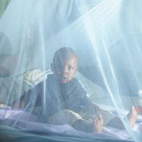 Child sitting on a bed surrounded by a bed net