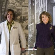 Stebbins and Levens Lipton