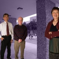 Yokoyama, Day, and Koda-Kimble