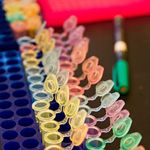 test tubes