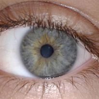 closeup of human eye