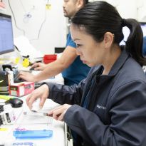 Nicole Ng, PharmD, counts pills at UCSF Health Parnassus Pharmacy