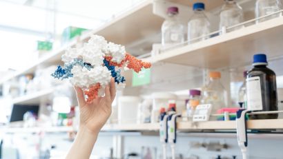 CRISPR model being held up in a laboratory