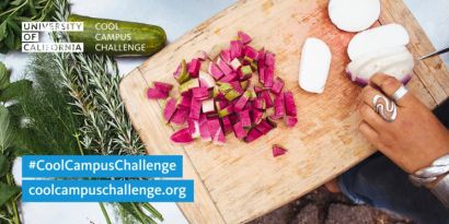 Vegetables being cut on a wooden chopping board