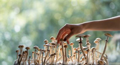 hand with mushrooms