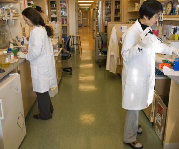 Dual Degree Pharm D School of Pharmacy 2 students in lab