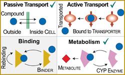 schematic diagram